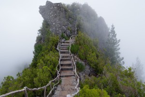 世界拳击职业联赛选手社群管理规范出台，世界拳击俱乐部